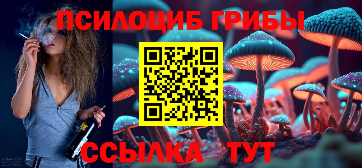 что такое наркотик  Галлюциногенные грибы мухоморы  Вход с VPN  Галлюциногенные грибы Psilocybine cubensis  Кимовск 