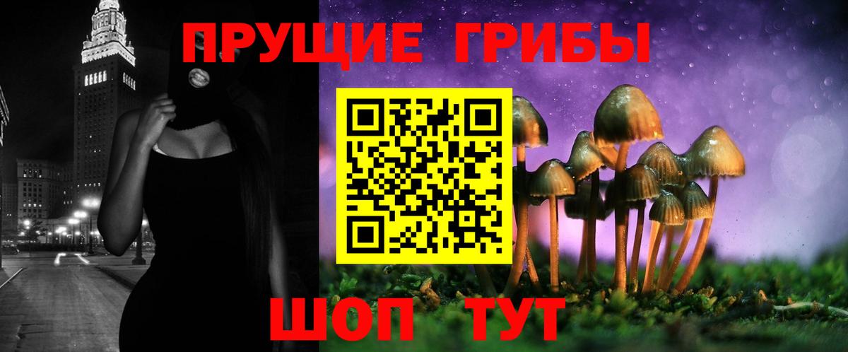 Галлюциногенные грибы MAGIC MUSHROOMS Кимовск